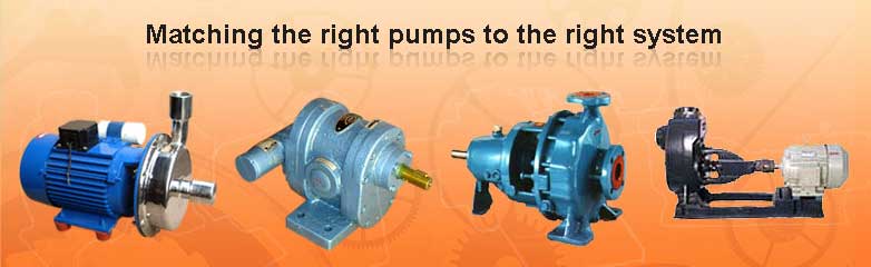 Stainless Steel Pumps India
