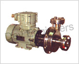 Stainless Steel CF Flame Proof Pumps